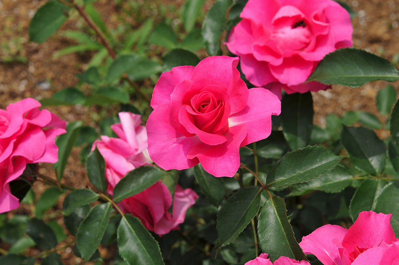 image0299
