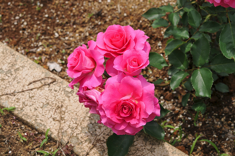 image0301