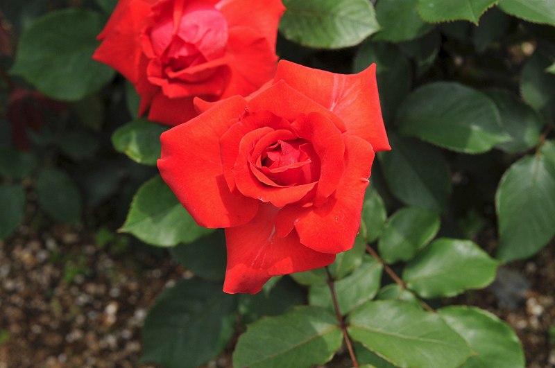 image0302