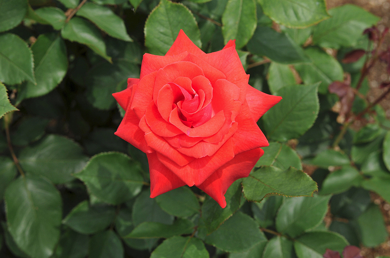 image0303