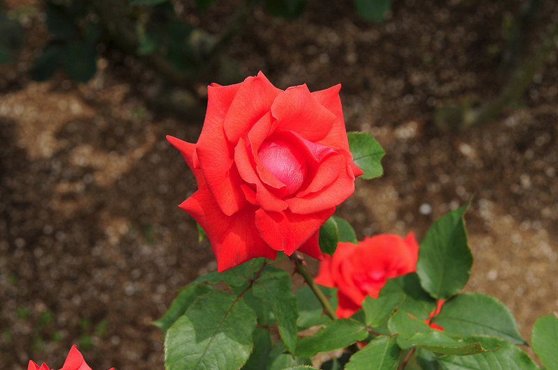 image0304