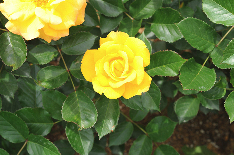 image0305