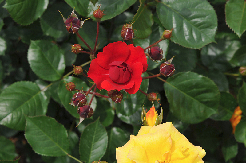image0306