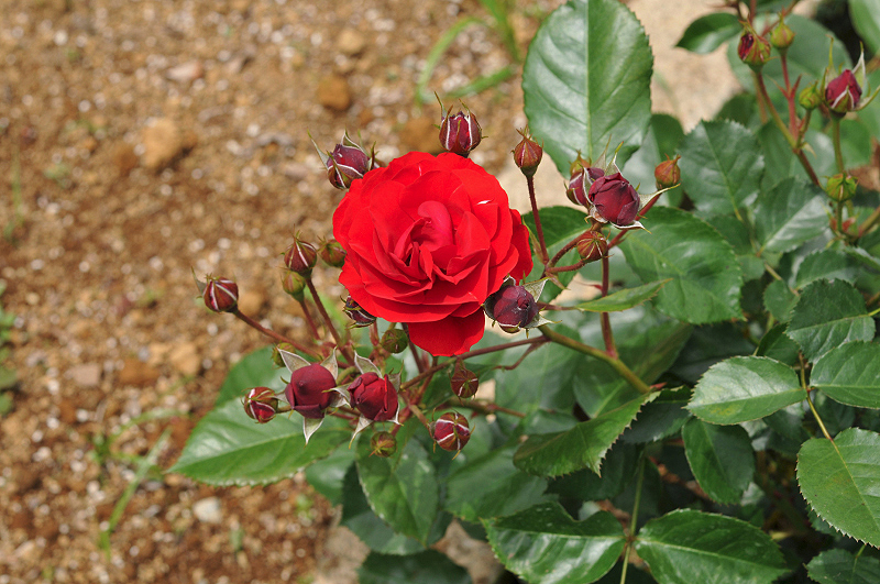 image0307