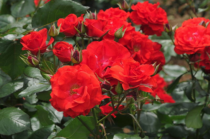image0310