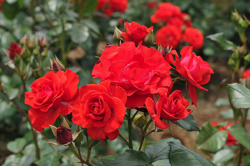 image0312