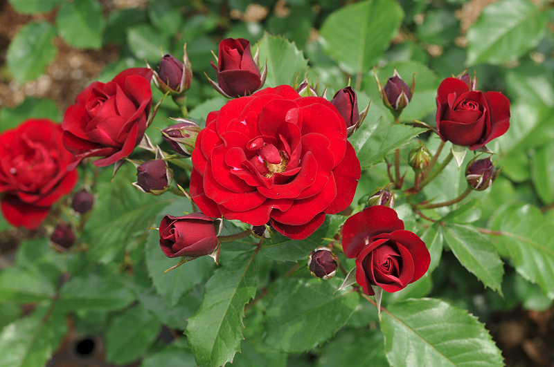 image0314