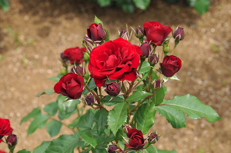 image0315