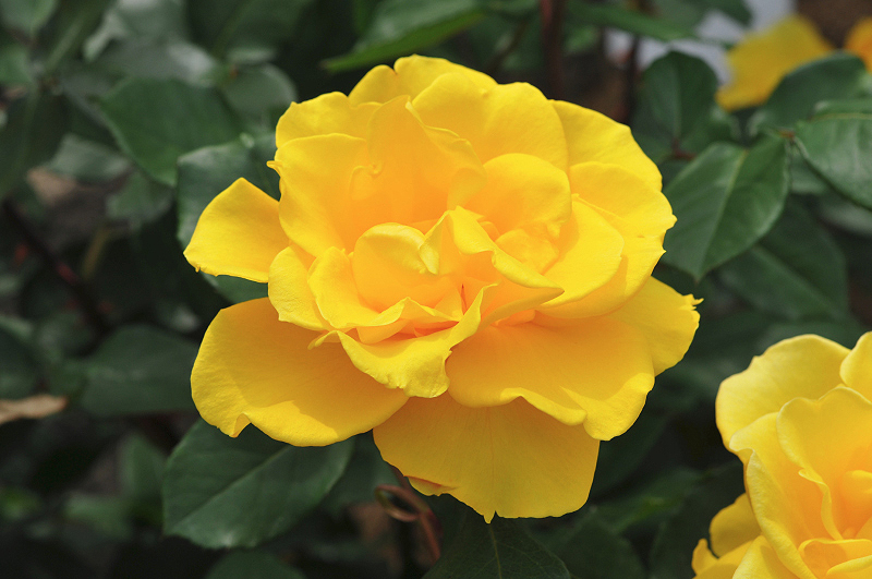 image0317