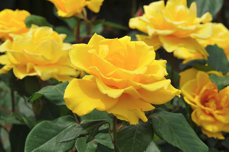 image0318
