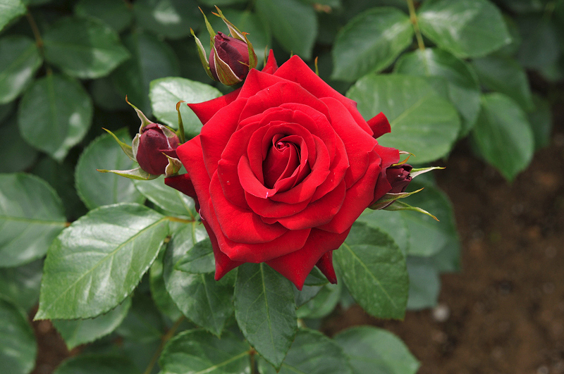 image0319