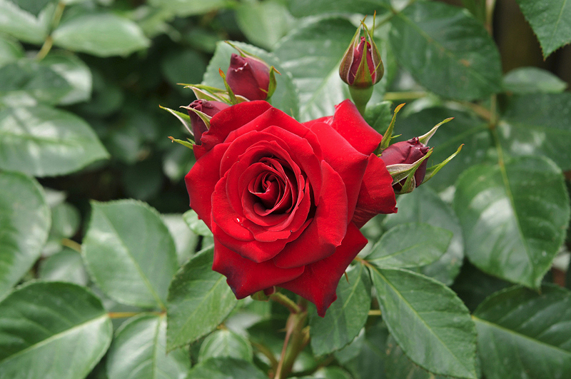 image0320