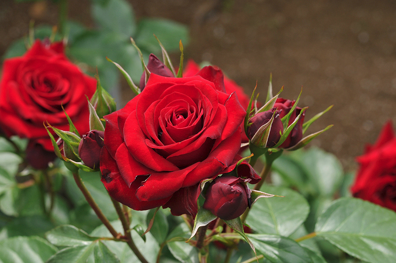 image0321