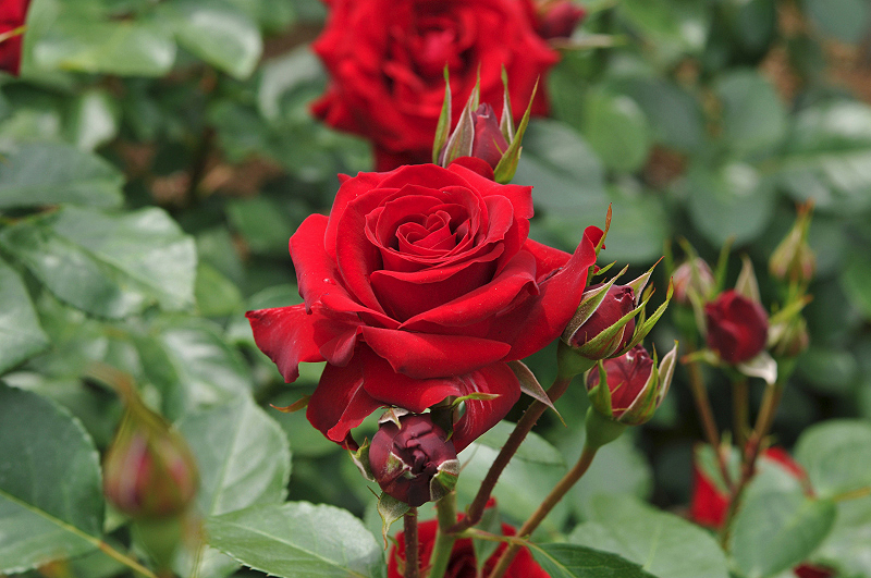 image0322