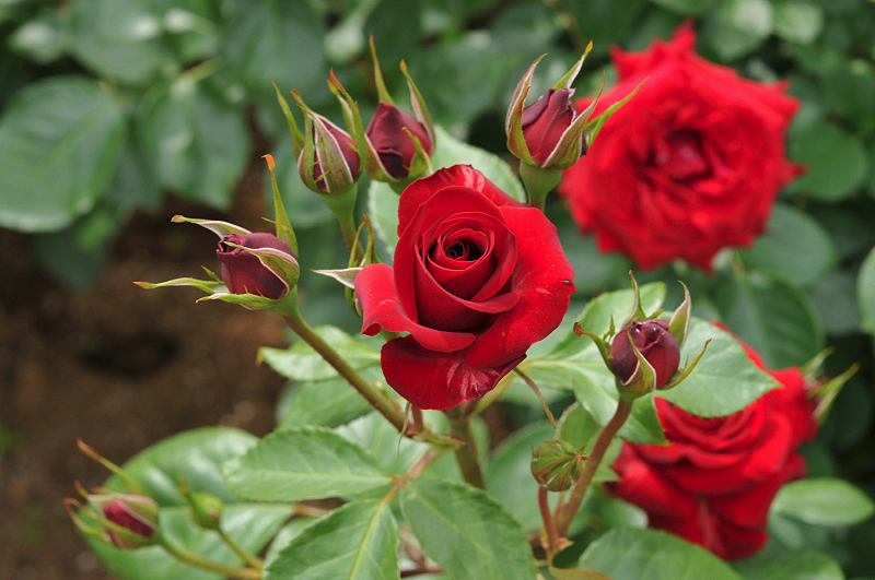 image0323