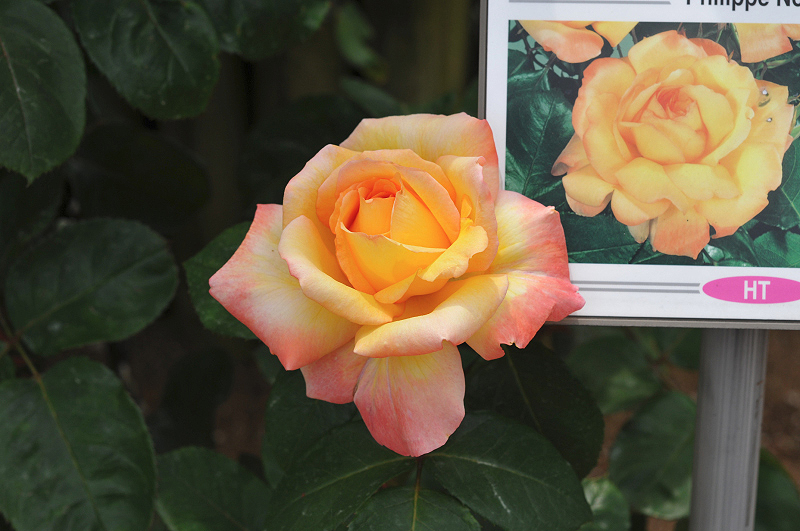 image0324