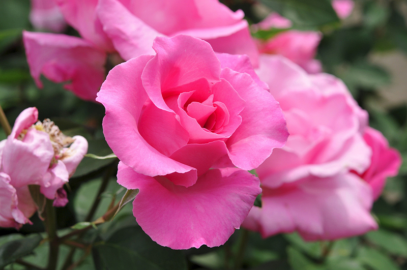 image0325