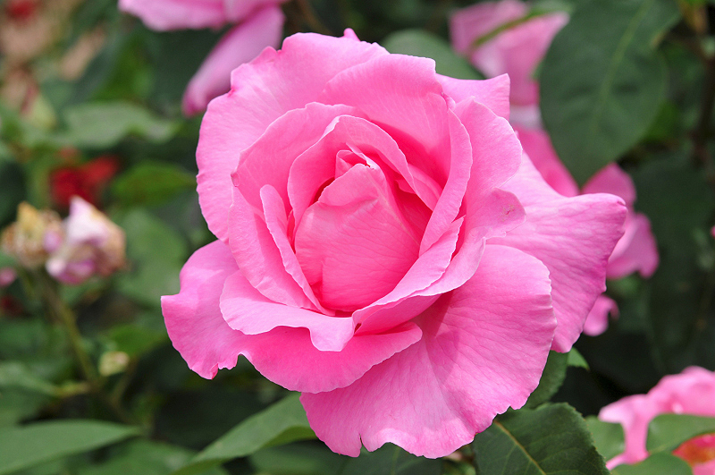 image0326