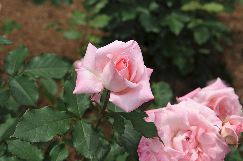 image0328