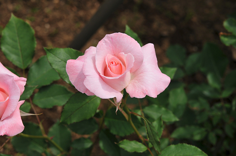 image0329
