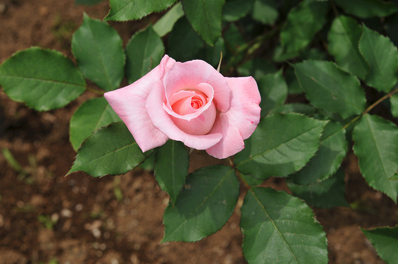 image0330