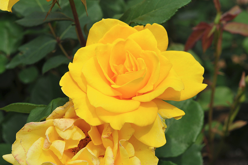 image0333