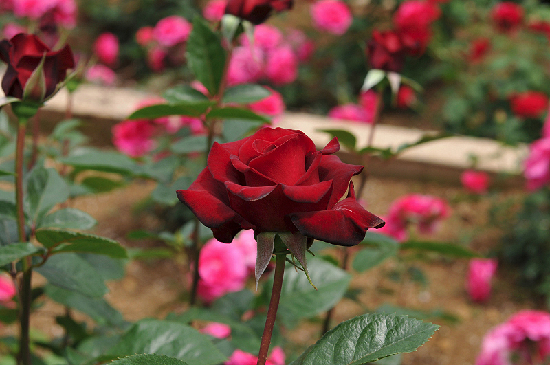 image0340