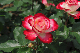 image0128
