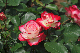 image0130
