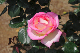 image0134