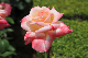image0136