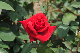 image0139
