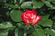 image0142