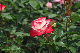 image0144