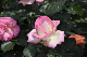 image0145