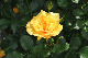 image0146