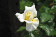 image0148