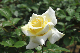 image0149