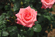 image0151