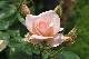 image0152