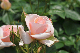 image0153