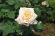 image0154
