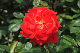 image0155