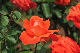 image0157