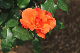 image0158