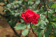 image0159