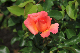 image0160