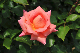 image0161
