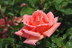 image0163