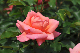 image0164